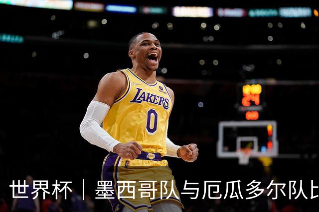 世界杯｜墨西哥队与厄瓜多尔队比赛因雷雨延迟